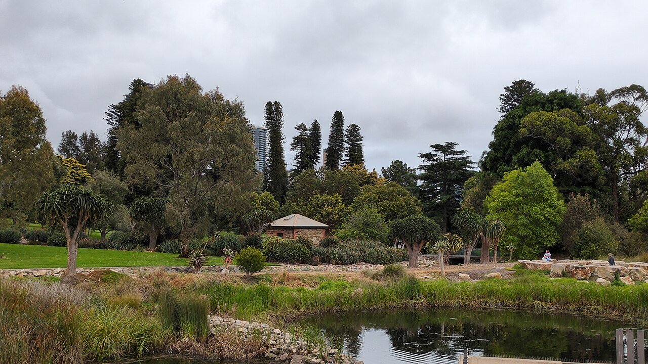A pond, leafy trees and garden paths at Adelaide Botanic Garden.